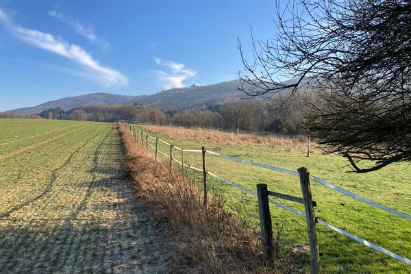 UnberÃ¼hrte Natur - wunderschÃ¶n im Sommer und Winter
