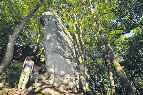 Ein hoch aufragender Fels im Wald.