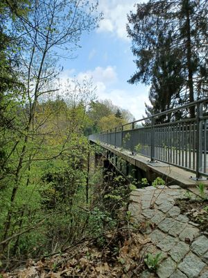 Eine Brücke mit einem Eisengeländer führt durch einen Mischwald.