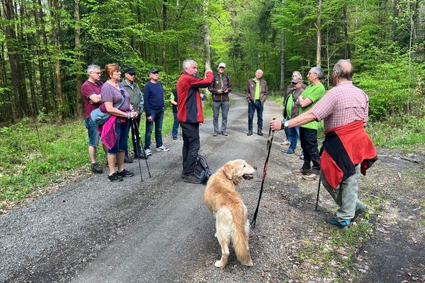 Heinz Fausten leitet die Wanderung