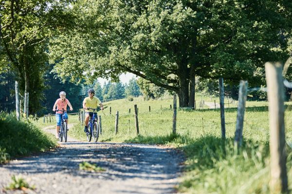 Zwischen Deutensee und Grubsee bei Peiting