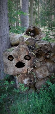 Umgebung