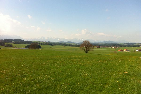 Unweit von Steingaden hat man einen grandiosen Alpenblick