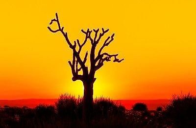 Bild des Datensatzes Namibia die schönheit Afrikas