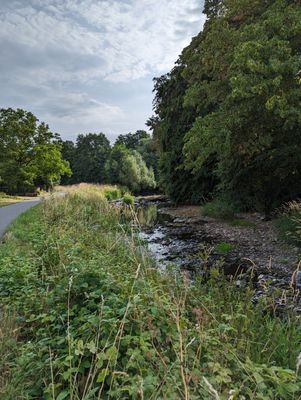 Das Bild zeigt auf der linken Seite einen Radweg der Tour KC 1. Dieser führt am Fluss Kronach, der auf der rechten Bildseite zu erkennen ist, vorbei. Ringsrum sind Bäume.
