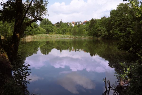 Blick auf einen Teich mit dem gegenüberliegenden Ufer. Dahinter ist ein Ort zu erkennen. Das Bild ist von grünen Ästen und Zweigen gerahmt. Der sonnige Wolkenhimmel spiegelt sich im Teich.