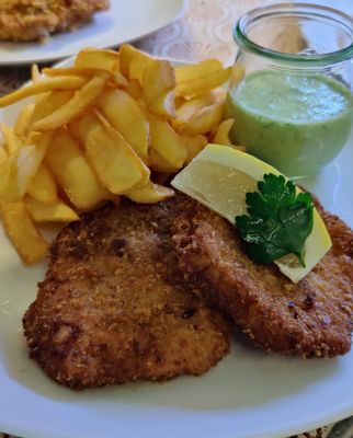 Tellergericht mit Schnitzel und Pommes