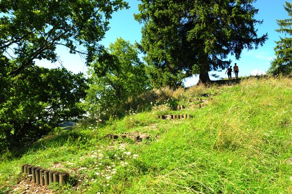 Wanderweg von Gastenfelden auf den Kühberg