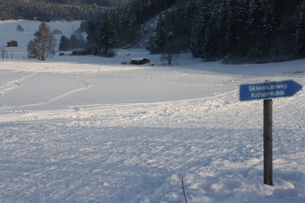 Ski- und Schlittenfahren