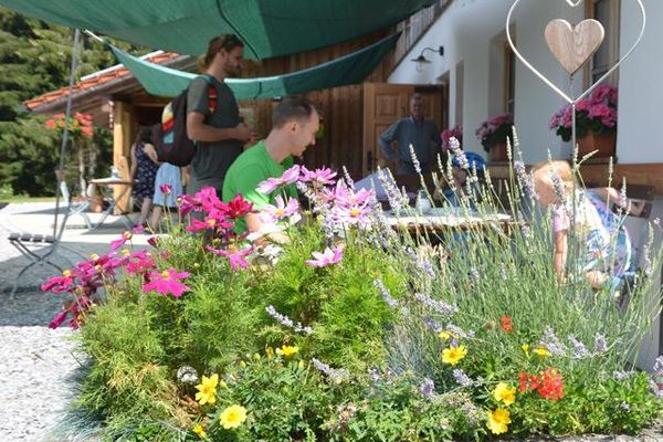 Vor der Terrasse des Prellerhauses blühen bunte Blumen in einem Steintrog. Dahinter sind einige Gäste unter dunkelgrünen Sonnensegeln zu sehen.