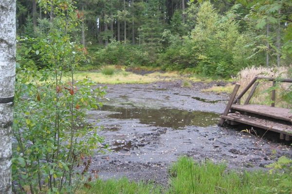 Natur-Moorbad in Warmensteinach Fleckl