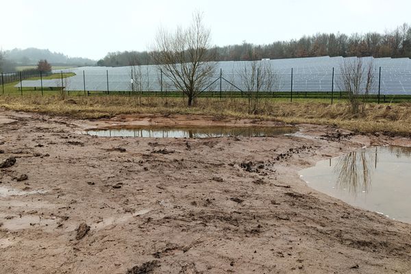 Feuchtbiotopkette im Süd-Osten des FFH-Gebiets nach der Anlage im Frühjahr 2023