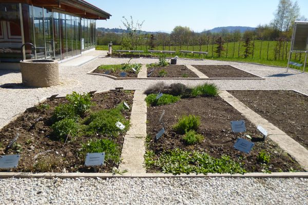 Der römische Küchen- und Heilkräuter-Lehrgarten an der Villa Rustica.