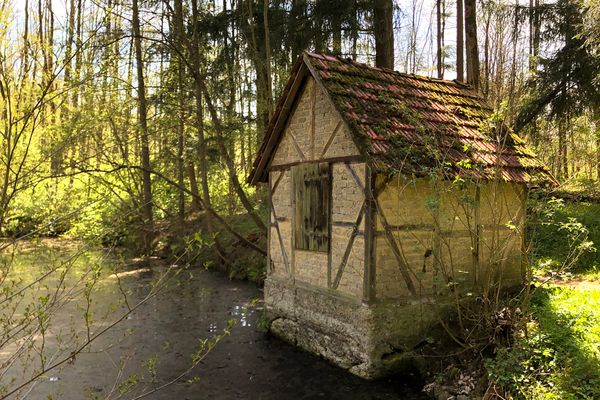 Ein kleines, schlichtes Fachwerkhüttchen steht unmittelbar an einem Teich im Wald. Das Hüttchen scheint ungenutzt zu sein, der Klappladen ist zu, das Dach vermoost.
