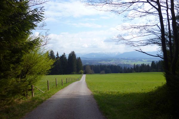 Direkt auf die Alpenkette zu geht es von der Schnalz hinunter nach Holzleithen.