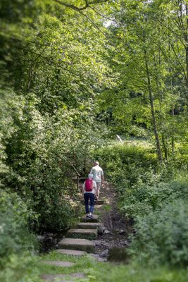 Zwei Wanderer laufen in einem üppig mit Büschen und Bäumen bewachsenen Umfeld über Schrifttsteine quer über einen Bach.
