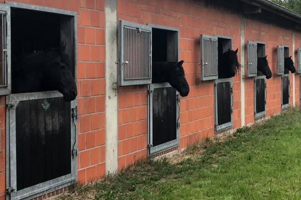 Boxen Außenansicht Aktivstall