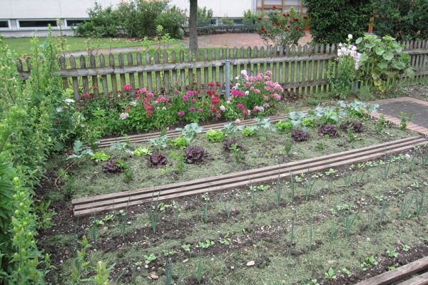 Lehrgarten Landwirtschaftsschule