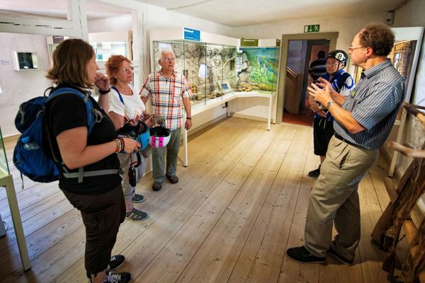 Ein Mann im blauen Hemd führt eine Gruppe Besucher durch das Museum.