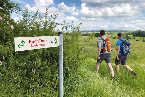 Die vom Deutschen Wanderinstitut prämierte BachTour Lauterbach führt auf 16 Kilometern von Lauterbach rund um Frischborn über sanfte Hügel mit offenen Blicken und Wald- und Wiesenlandschaften mit Solitärbäumen, durchzogen von kleinen Bächen und Biotopen. Die Sicht auf viele kleine Bäche gab ihr den Namen. 