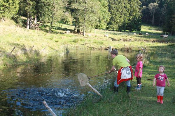 Ein Erwachsener und Kinder stehen am Fischteich mit einem Käscher. Ringsherum Wiesen und Wald.