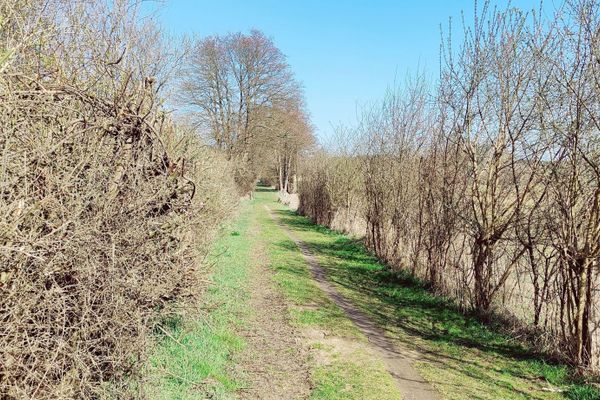 Der schmale Stichweg verbindet die Billungstraße in Wichmannsburg mit dem Sandweg in Bienenbüttel. Die naturnahe Route liegt in unmittelbarer Nähe zur Ilmenau und bietet eine landschaftlich schöne und autofreie Verbindung zwischen den Orten.