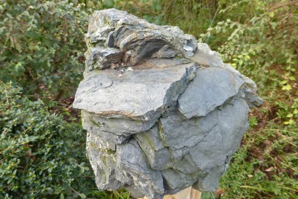 Graphitquarzit aus dem Odenwald