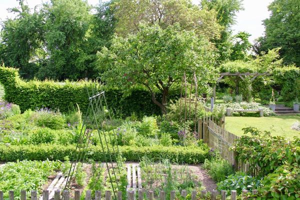 Bauerngarten mit Quittenbaum