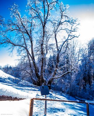 Außenbereich des Klosters im Winter