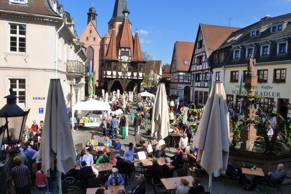 Michelstadt