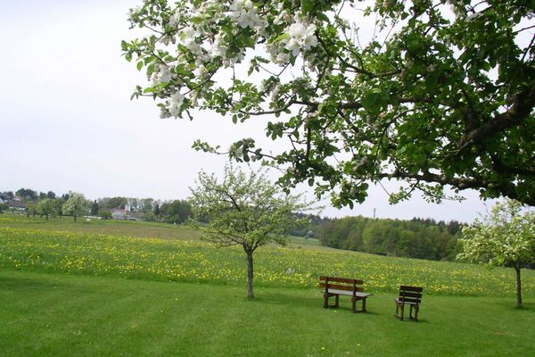 Blick Ã¼ber Felder und Wiesen