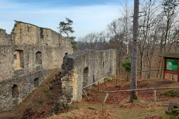 Burgruine Wildenfels